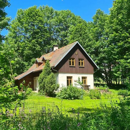 Chalupa Ostruvek Tachov (Plzen) Exterior foto